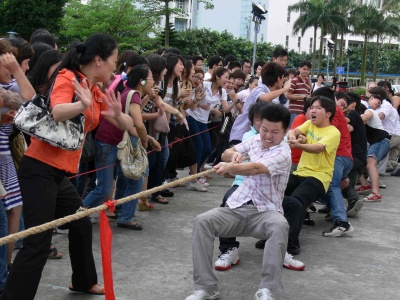 IBS---理想的翅膀